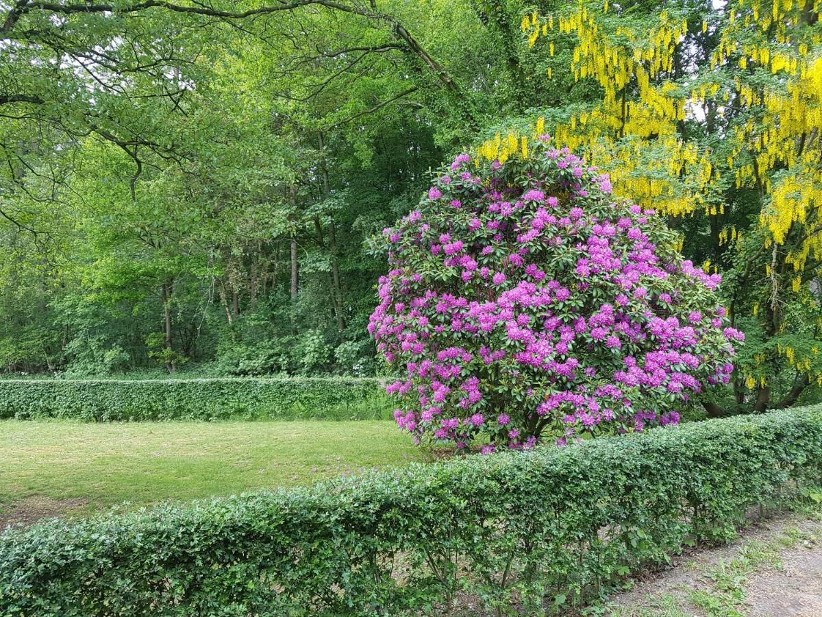 B&B De Panheide Hooghalen Экстерьер фото